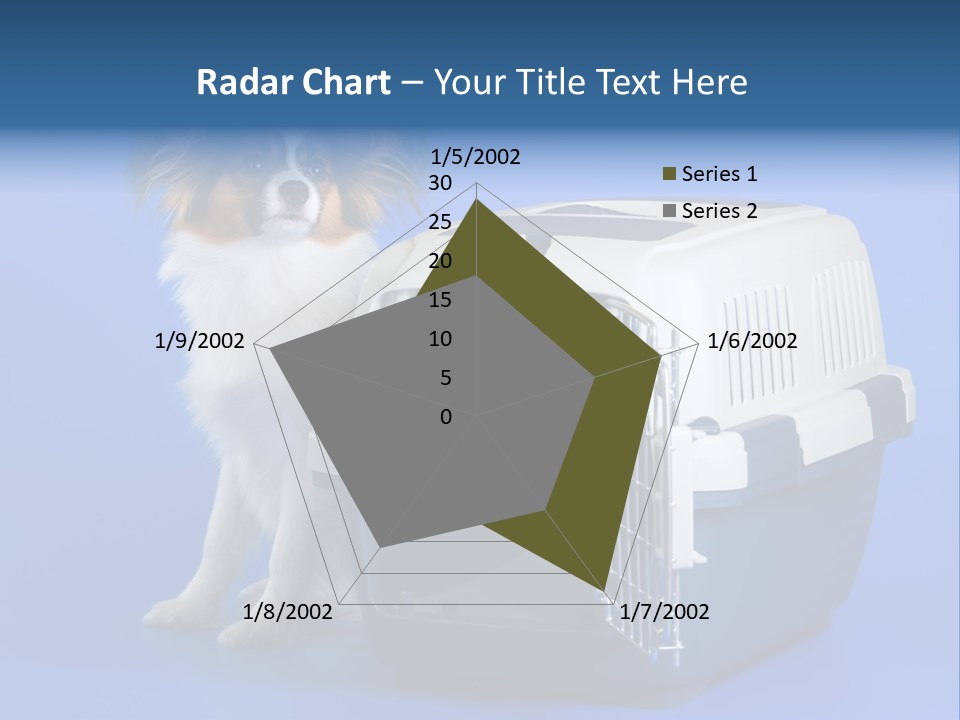 Young Dog Papillon And A Plastic Carrier PowerPoint Template