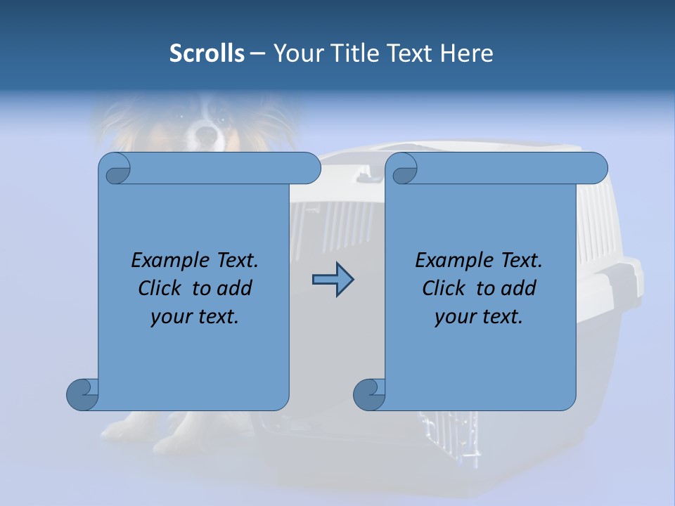 Young Dog Papillon And A Plastic Carrier PowerPoint Template