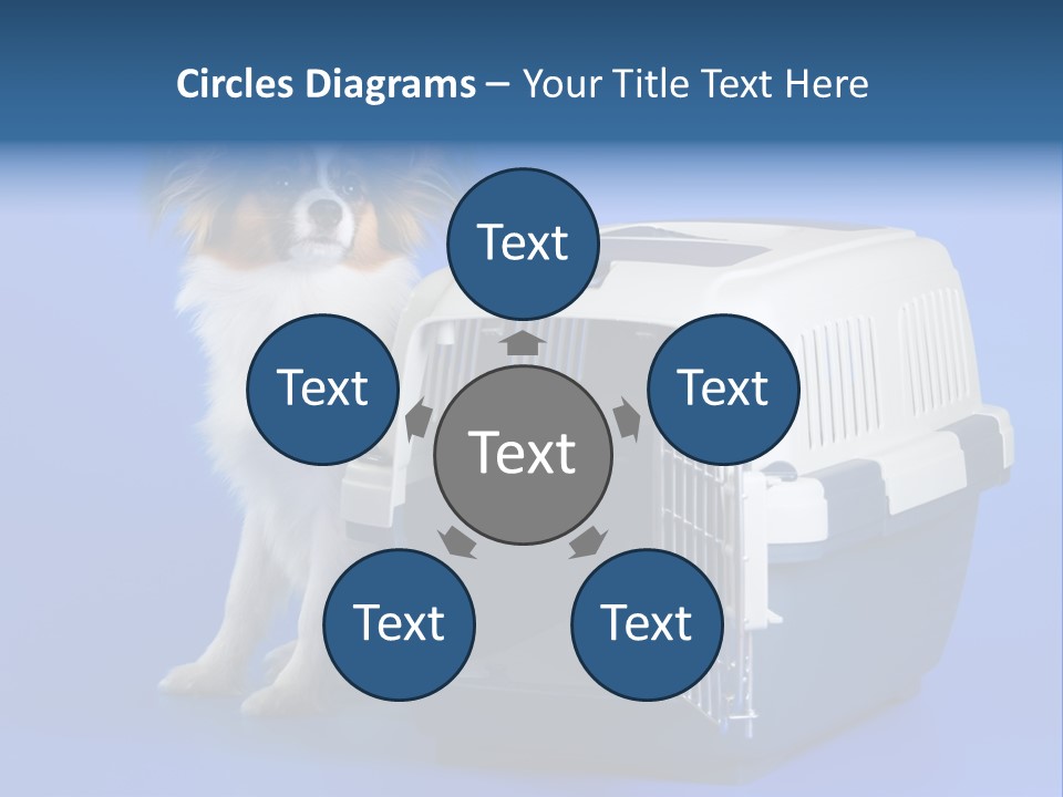 Young Dog Papillon And A Plastic Carrier PowerPoint Template