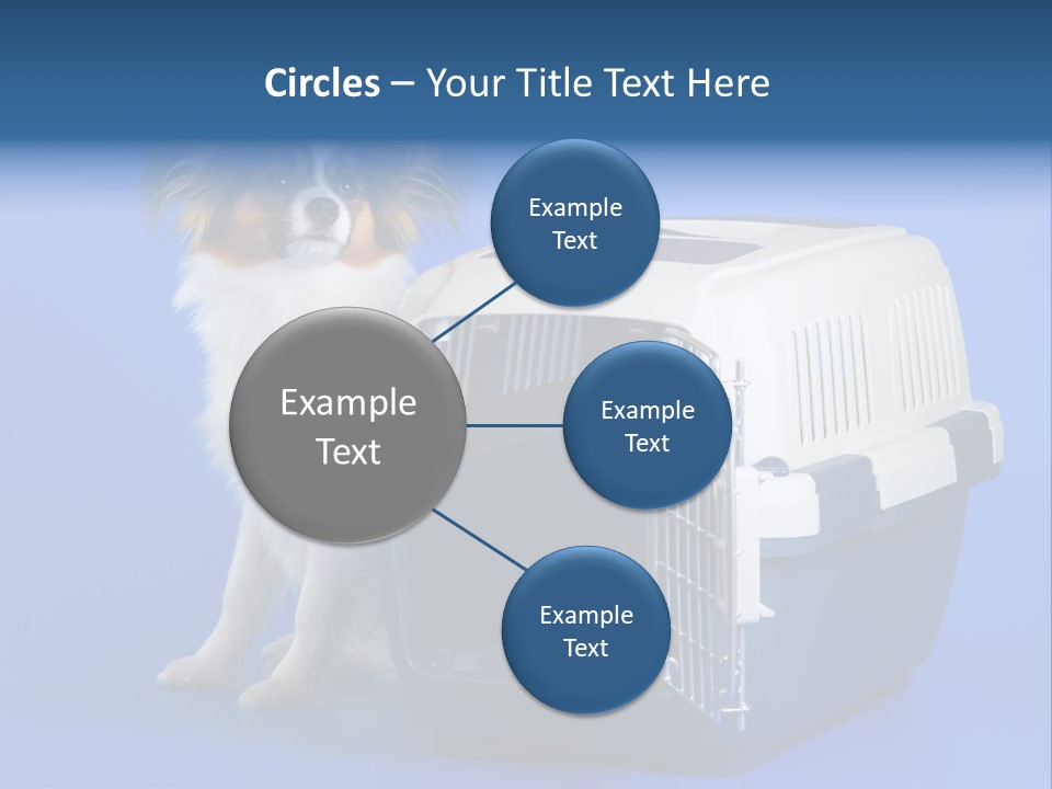 Young Dog Papillon And A Plastic Carrier PowerPoint Template