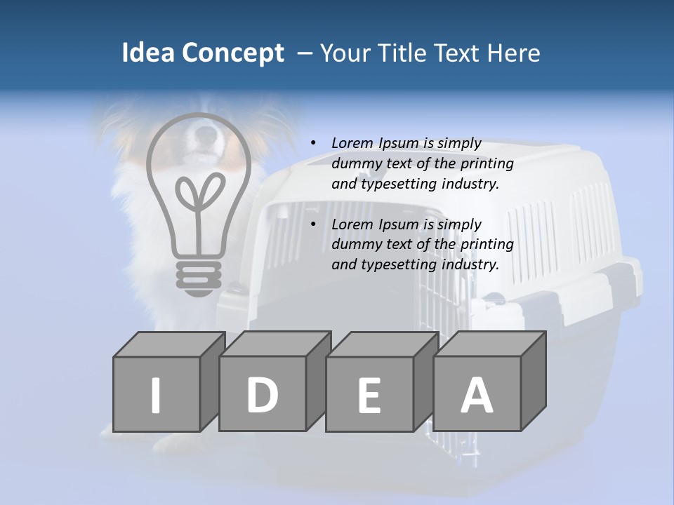 Young Dog Papillon And A Plastic Carrier PowerPoint Template