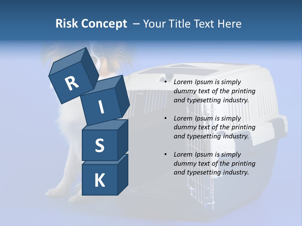 Young Dog Papillon And A Plastic Carrier PowerPoint Template