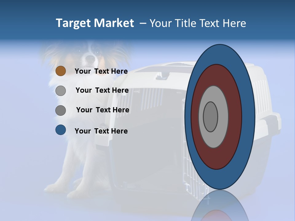 Young Dog Papillon And A Plastic Carrier PowerPoint Template