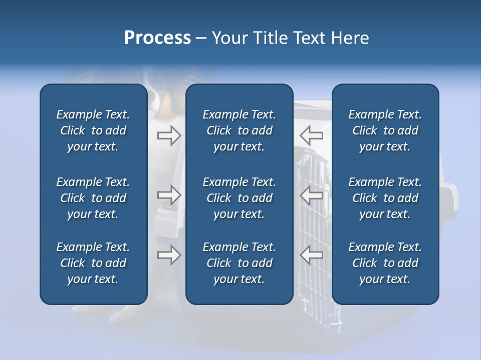 Young Dog Papillon And A Plastic Carrier PowerPoint Template