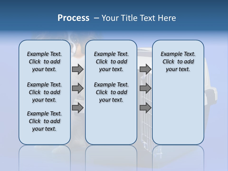 Young Dog Papillon And A Plastic Carrier PowerPoint Template