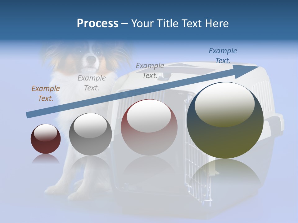 Young Dog Papillon And A Plastic Carrier PowerPoint Template