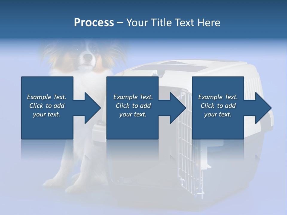 Young Dog Papillon And A Plastic Carrier PowerPoint Template