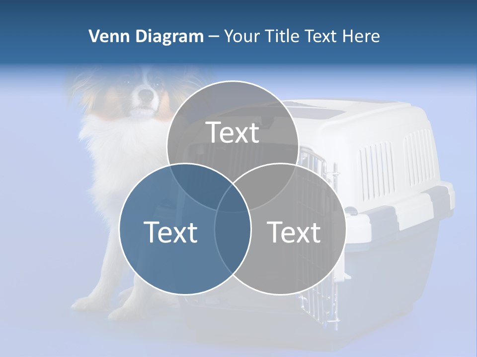 Young Dog Papillon And A Plastic Carrier PowerPoint Template