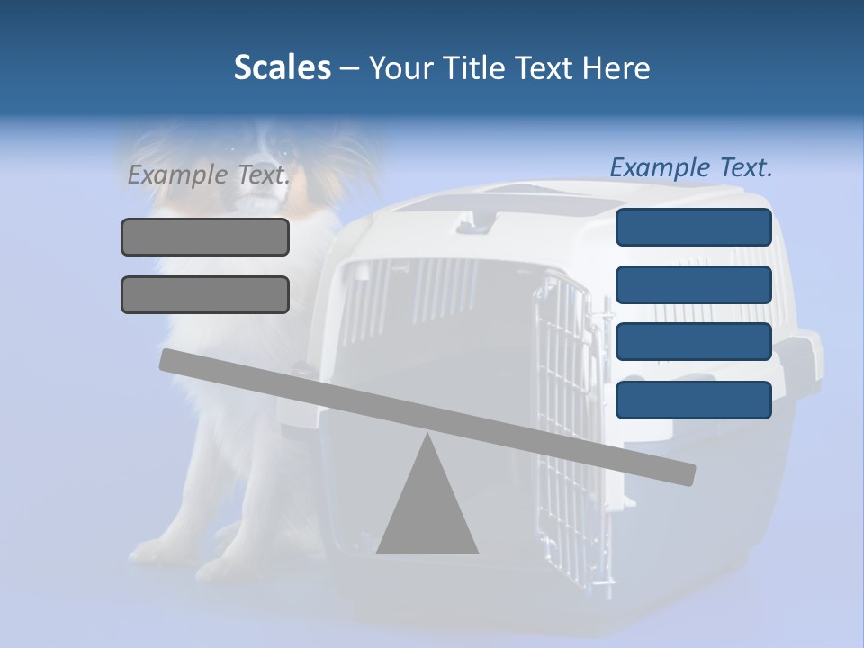 Young Dog Papillon And A Plastic Carrier PowerPoint Template