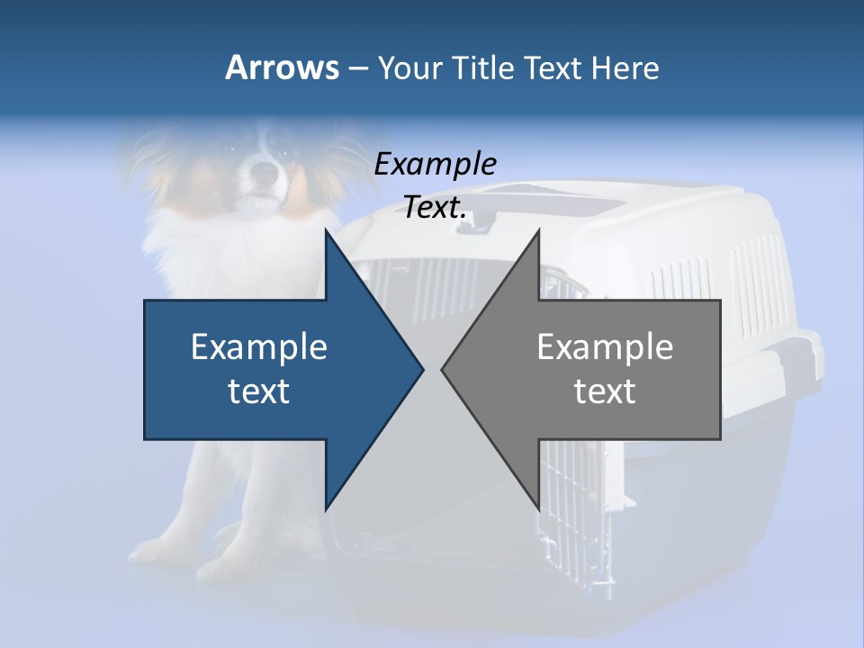 Young Dog Papillon And A Plastic Carrier PowerPoint Template