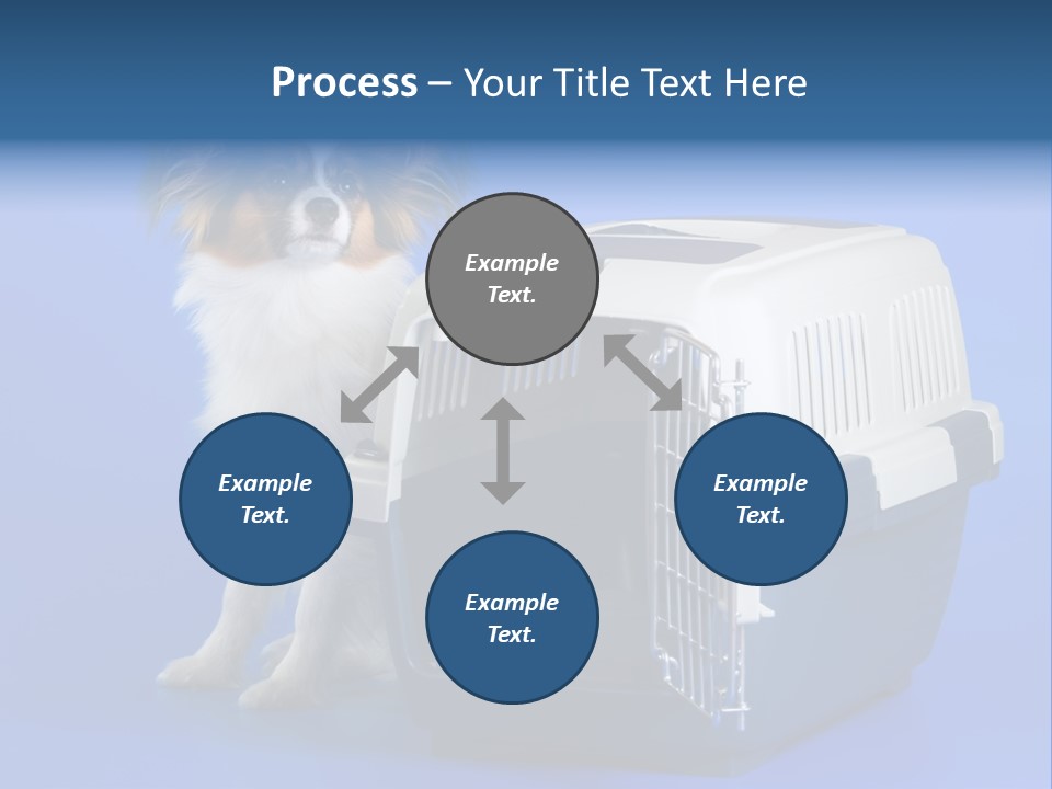 Young Dog Papillon And A Plastic Carrier PowerPoint Template