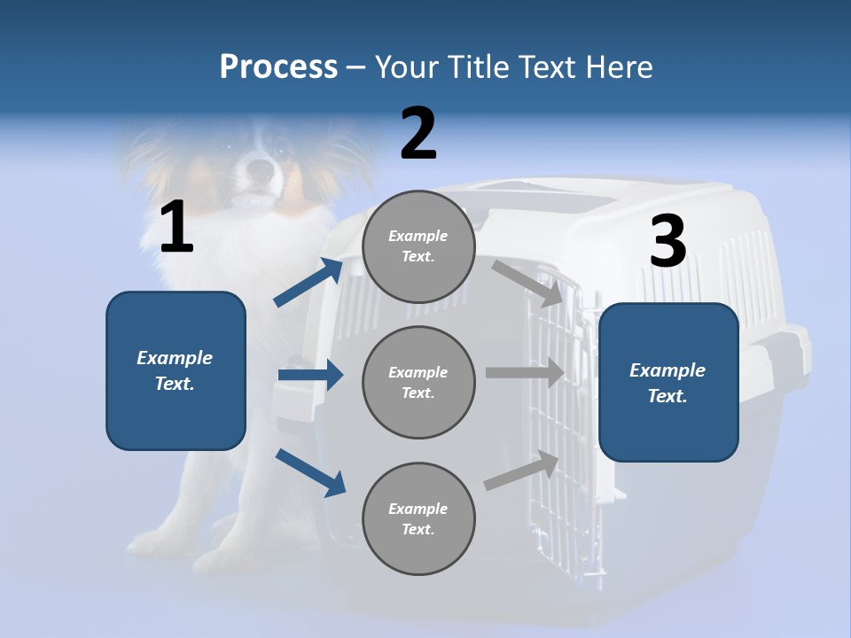 Young Dog Papillon And A Plastic Carrier PowerPoint Template