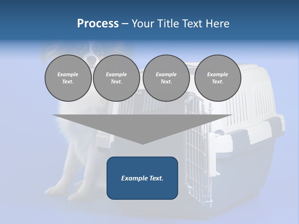 Young Dog Papillon And A Plastic Carrier PowerPoint Template