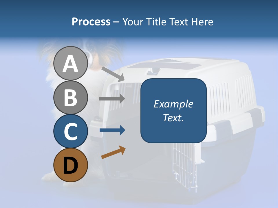 Young Dog Papillon And A Plastic Carrier PowerPoint Template