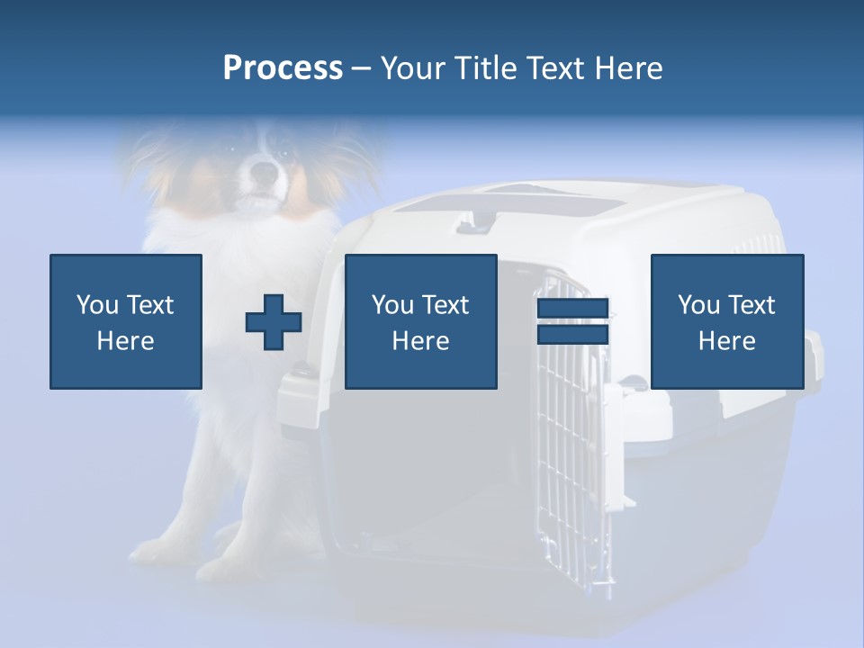 Young Dog Papillon And A Plastic Carrier PowerPoint Template