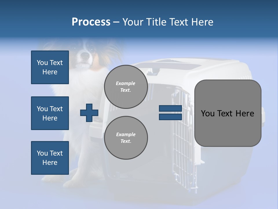 Young Dog Papillon And A Plastic Carrier PowerPoint Template