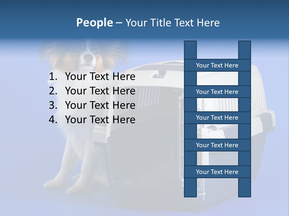 Young Dog Papillon And A Plastic Carrier PowerPoint Template