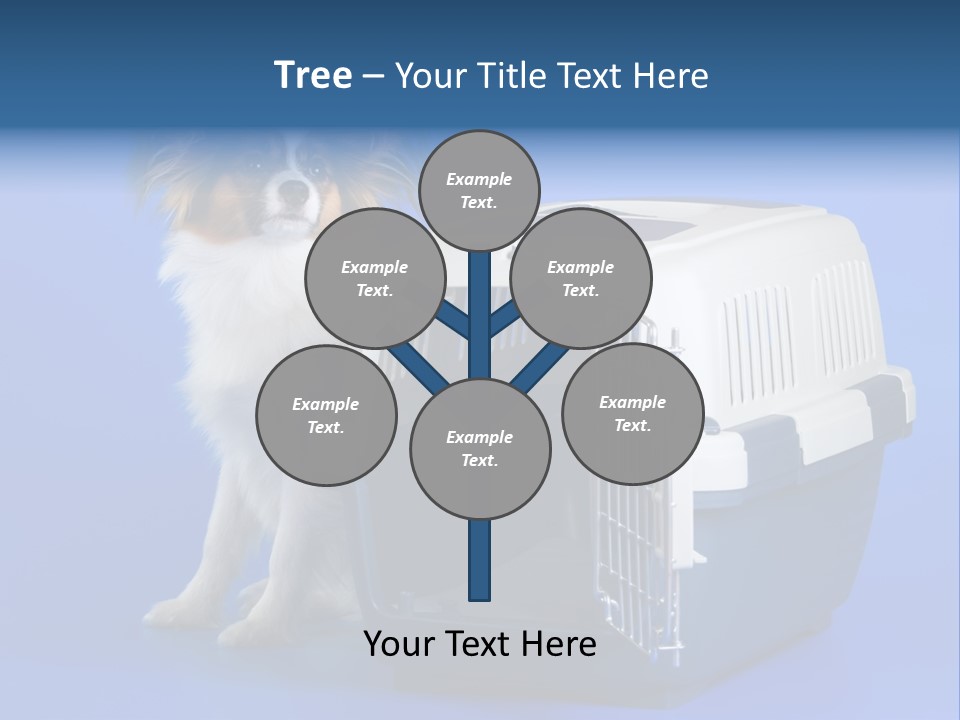 Young Dog Papillon And A Plastic Carrier PowerPoint Template