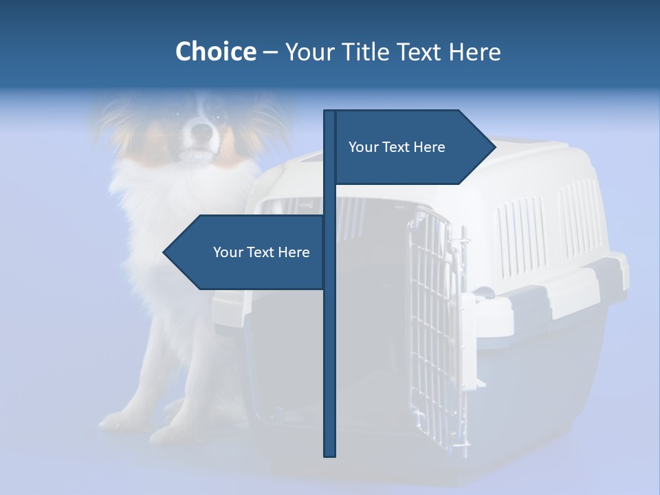 Young Dog Papillon And A Plastic Carrier PowerPoint Template