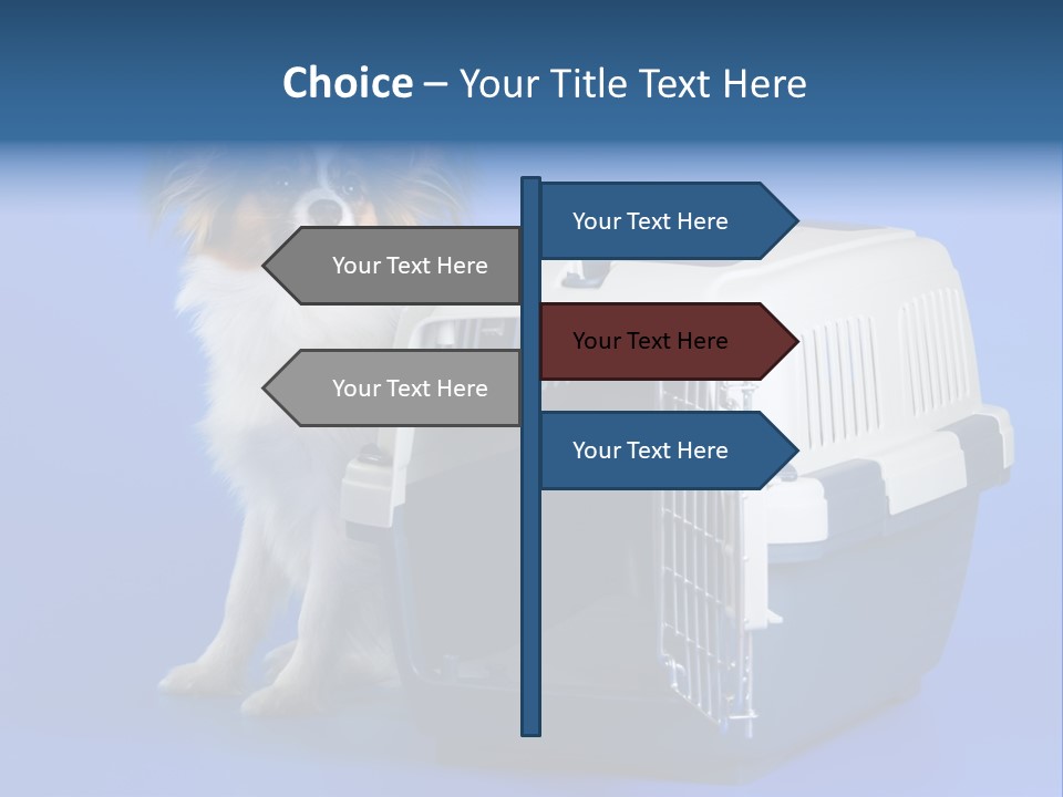 Young Dog Papillon And A Plastic Carrier PowerPoint Template