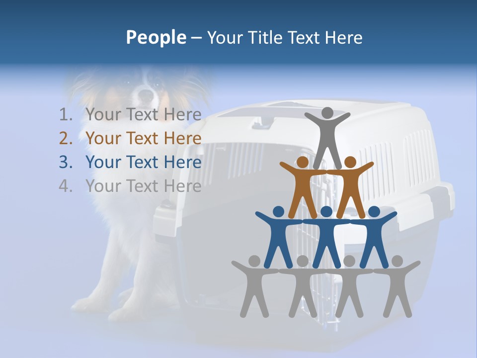 Young Dog Papillon And A Plastic Carrier PowerPoint Template