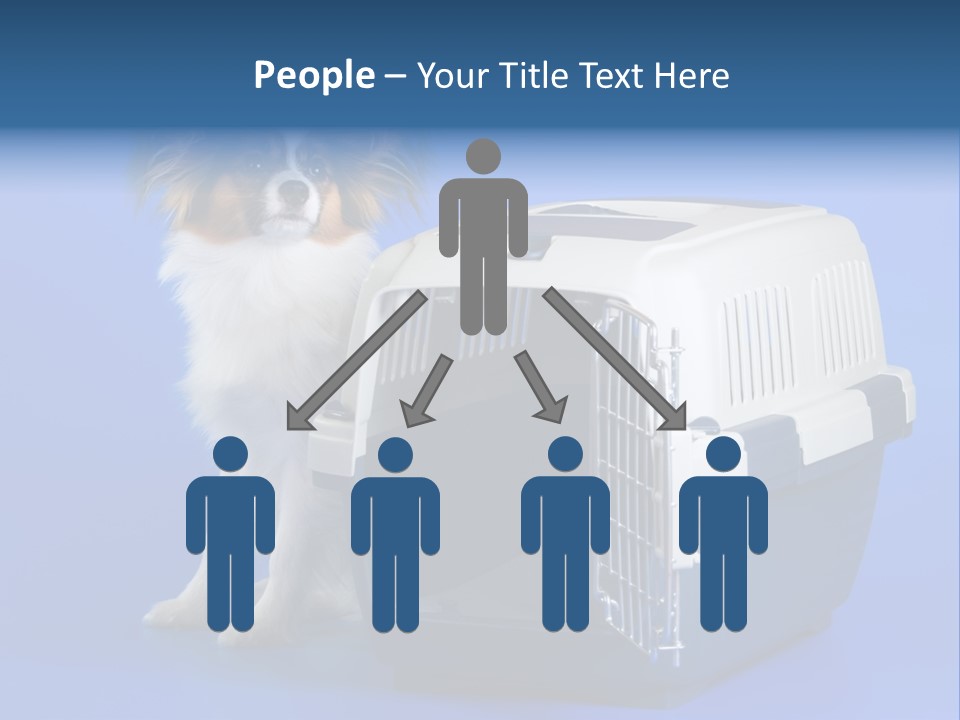 Young Dog Papillon And A Plastic Carrier PowerPoint Template