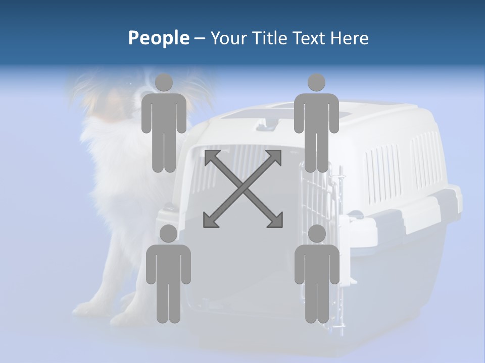 Young Dog Papillon And A Plastic Carrier PowerPoint Template