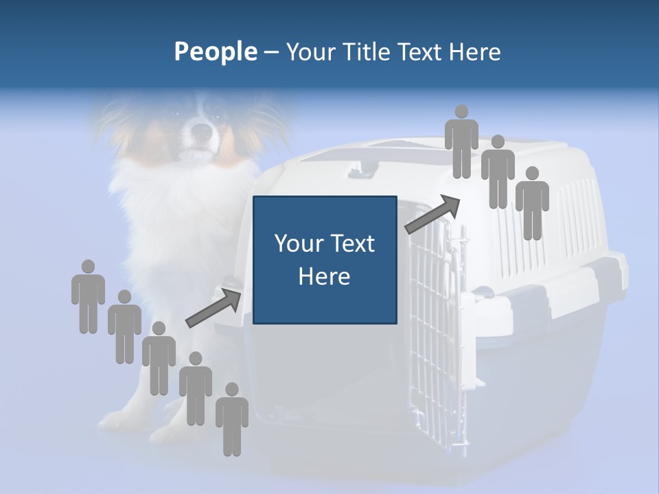 Young Dog Papillon And A Plastic Carrier PowerPoint Template