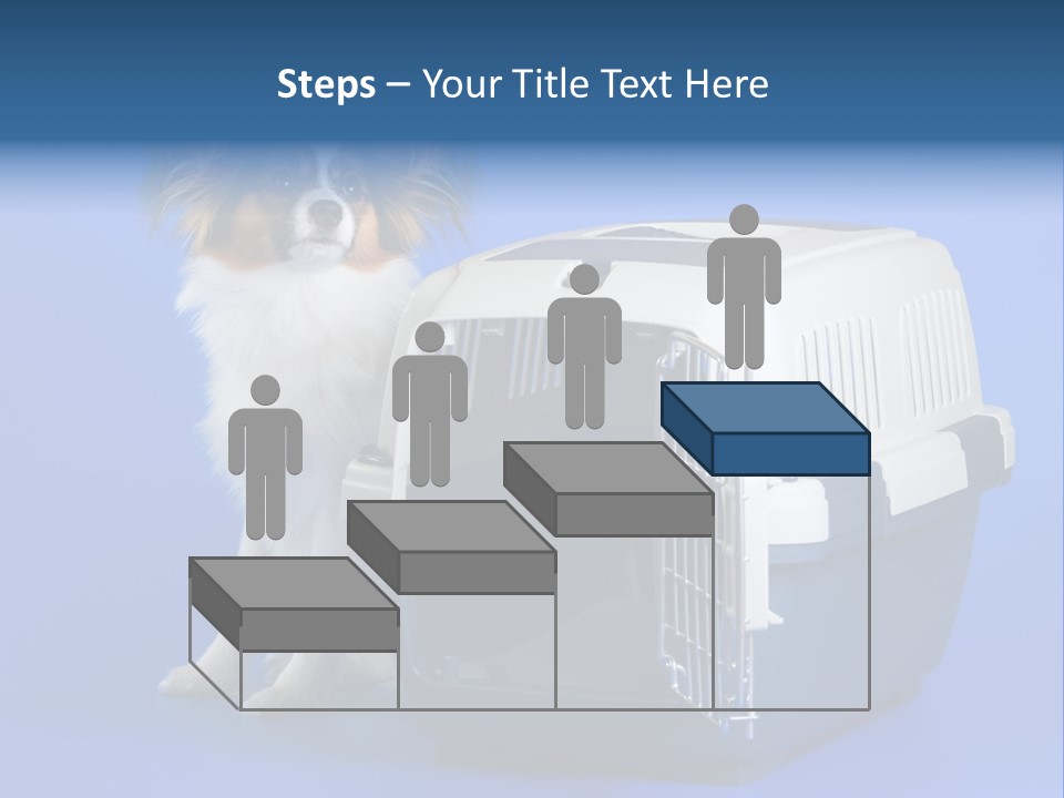 Young Dog Papillon And A Plastic Carrier PowerPoint Template