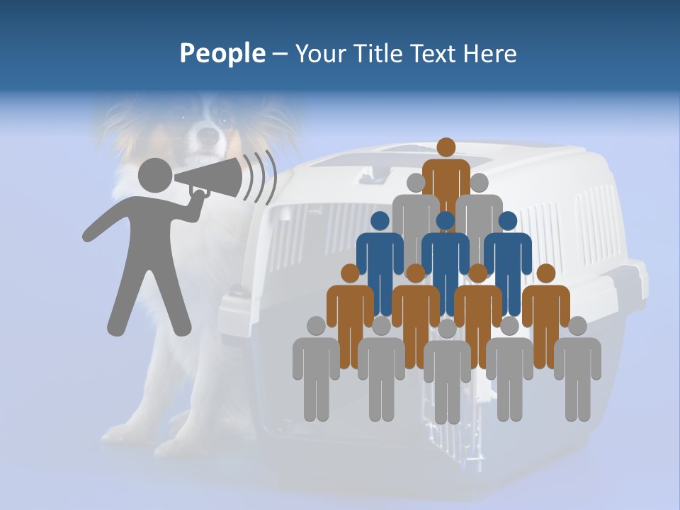 Young Dog Papillon And A Plastic Carrier PowerPoint Template