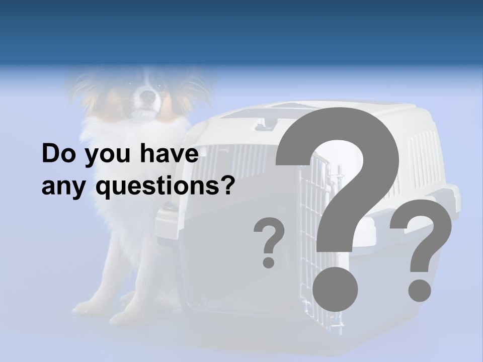 Young Dog Papillon And A Plastic Carrier PowerPoint Template