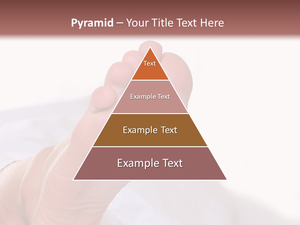 Well-Groomed Bared A Foot Of Female Feet, Isolated On A White Background, Please See Some Of My Other Parts Of A Body Images PowerPoint Template