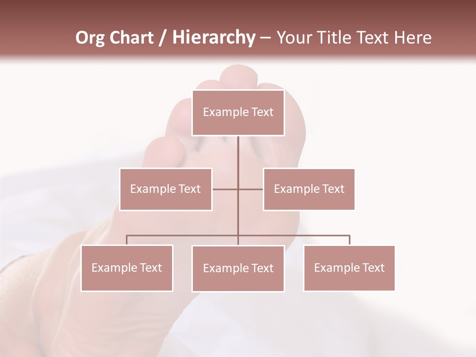 Well-Groomed Bared A Foot Of Female Feet, Isolated On A White Background, Please See Some Of My Other Parts Of A Body Images PowerPoint Template