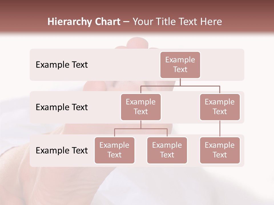 Well-Groomed Bared A Foot Of Female Feet, Isolated On A White Background, Please See Some Of My Other Parts Of A Body Images PowerPoint Template