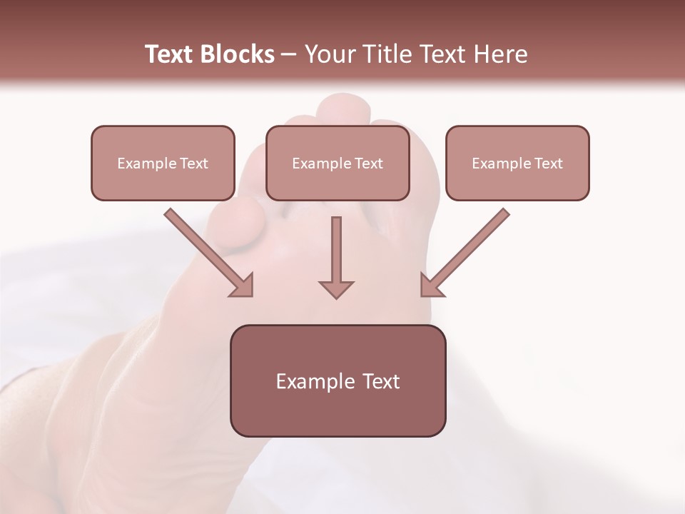 Well-Groomed Bared A Foot Of Female Feet, Isolated On A White Background, Please See Some Of My Other Parts Of A Body Images PowerPoint Template