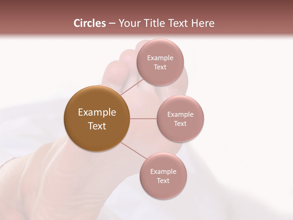 Well-Groomed Bared A Foot Of Female Feet, Isolated On A White Background, Please See Some Of My Other Parts Of A Body Images PowerPoint Template