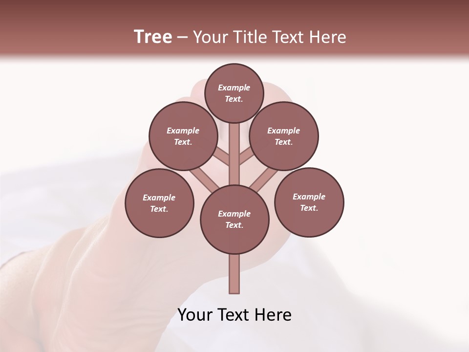 Well-Groomed Bared A Foot Of Female Feet, Isolated On A White Background, Please See Some Of My Other Parts Of A Body Images PowerPoint Template