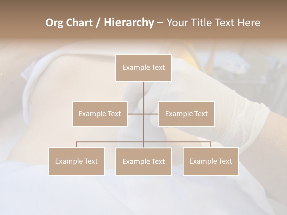 Scanning Of A Stomach Of Pregnant Woman PowerPoint Template