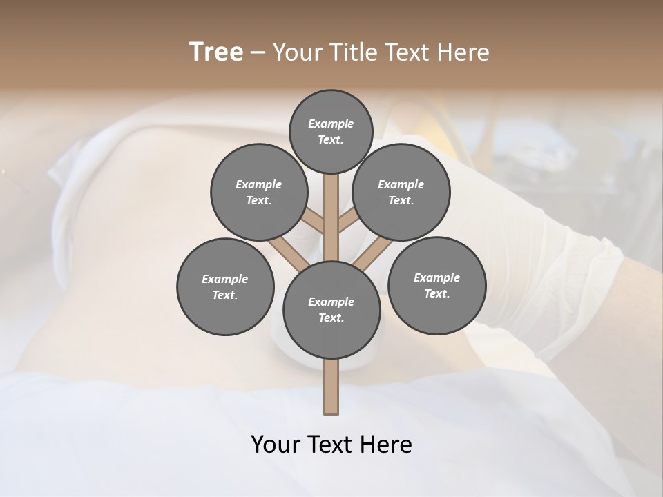 Scanning Of A Stomach Of Pregnant Woman PowerPoint Template