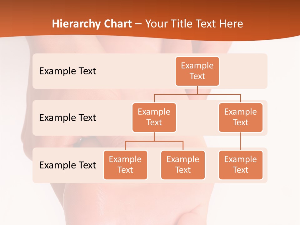 Massage And Leaving Of The Female Feet Bared By A Foot, Isolated On A White Background, Please See Some Of My Other Parts Of A Images PowerPoint Template