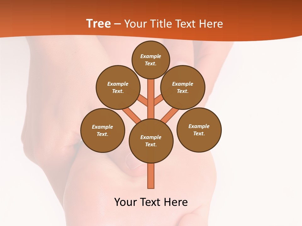 Massage And Leaving Of The Female Feet Bared By A Foot, Isolated On A White Background, Please See Some Of My Other Parts Of A Images PowerPoint Template