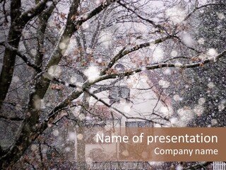 Winter PowerPoint Template