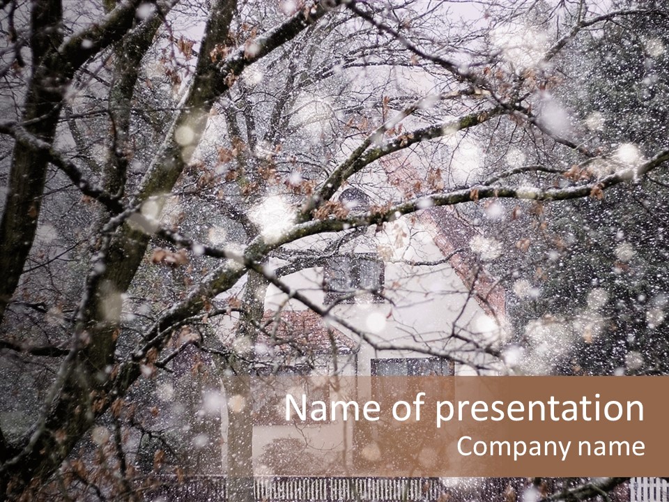 Winter PowerPoint Template