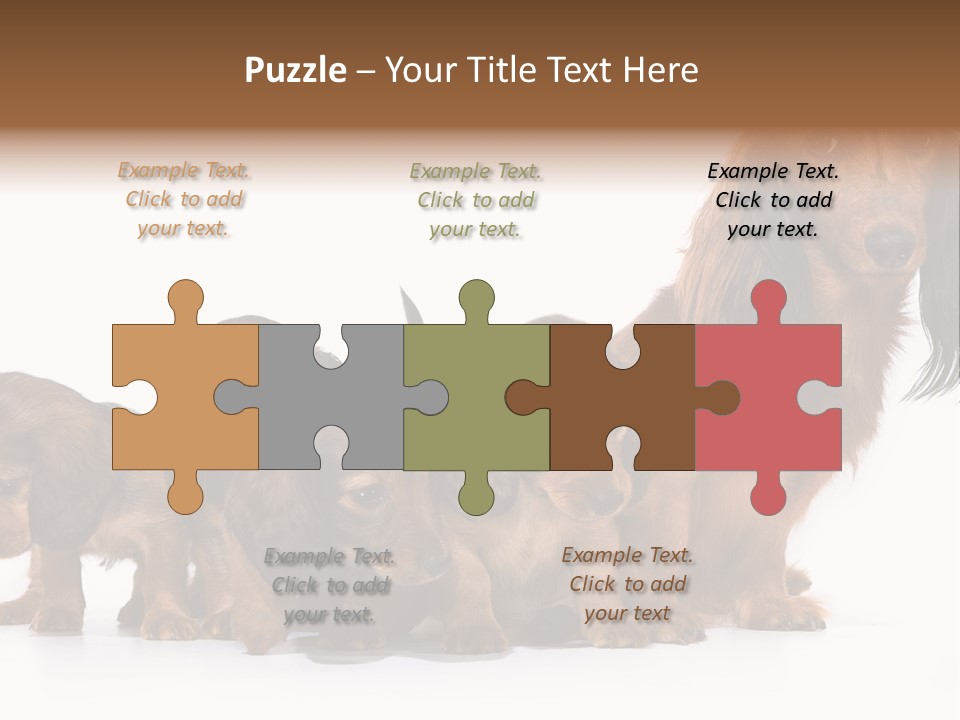Mother Dogs And Puppies Breed Dachshund PowerPoint Template