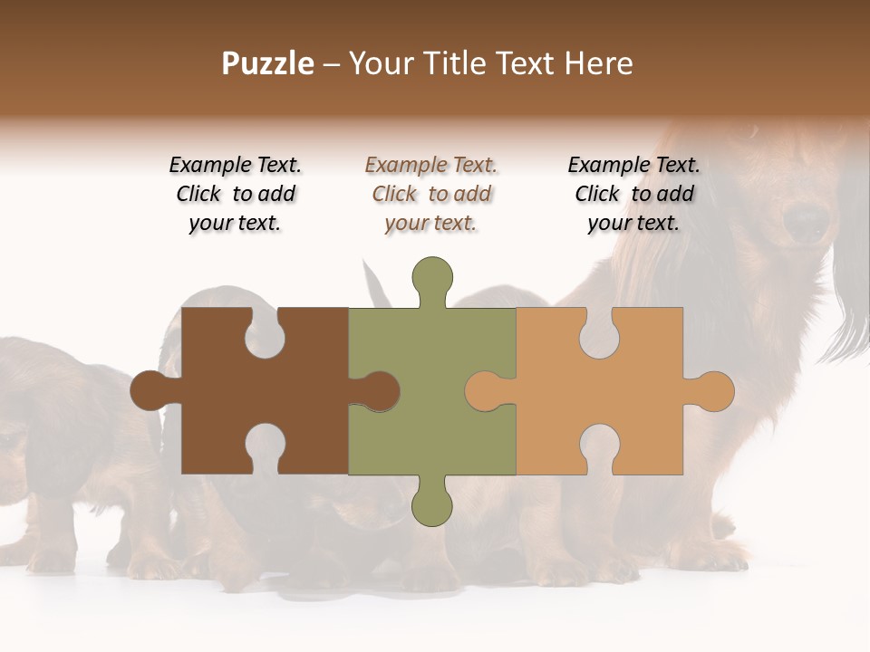 Mother Dogs And Puppies Breed Dachshund PowerPoint Template