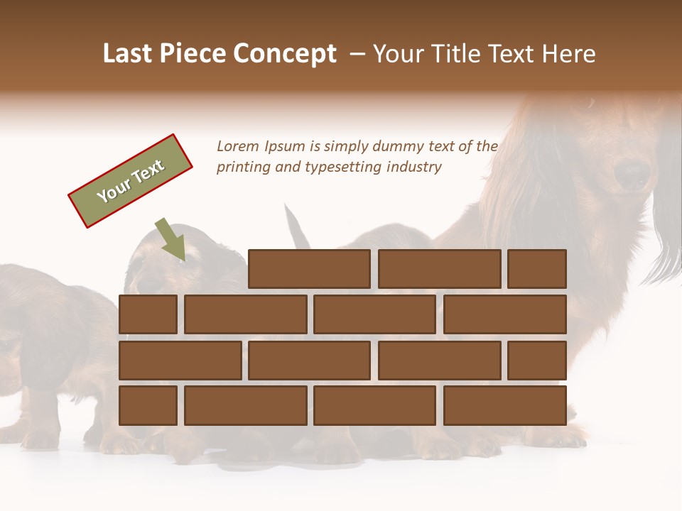 Mother Dogs And Puppies Breed Dachshund PowerPoint Template