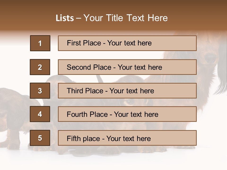 Mother Dogs And Puppies Breed Dachshund PowerPoint Template