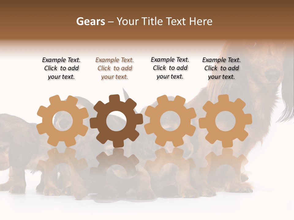 Mother Dogs And Puppies Breed Dachshund PowerPoint Template