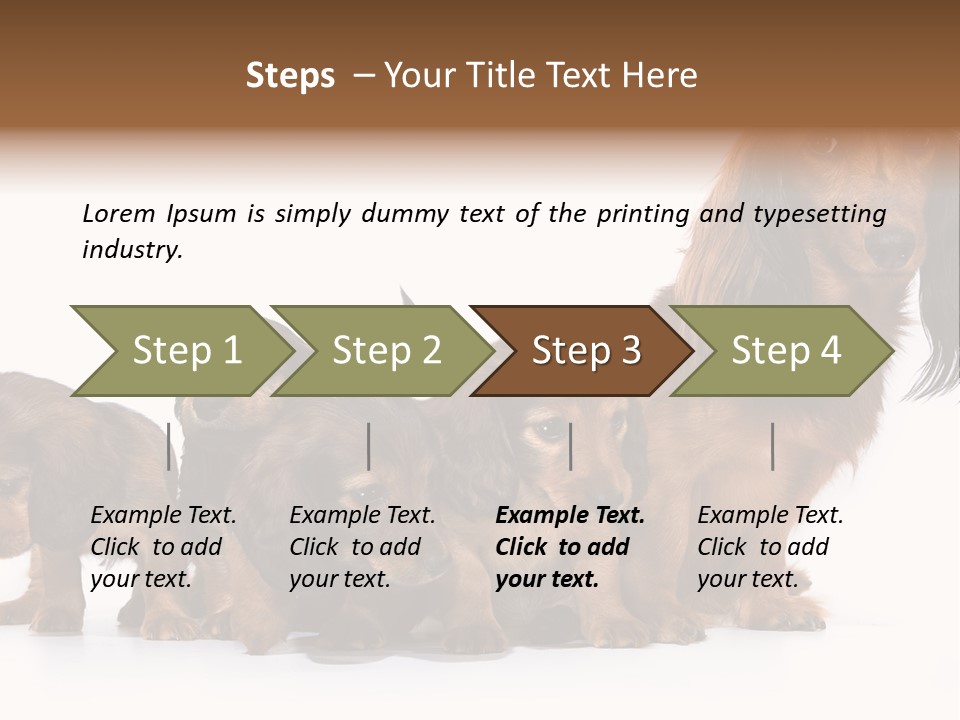 Mother Dogs And Puppies Breed Dachshund PowerPoint Template