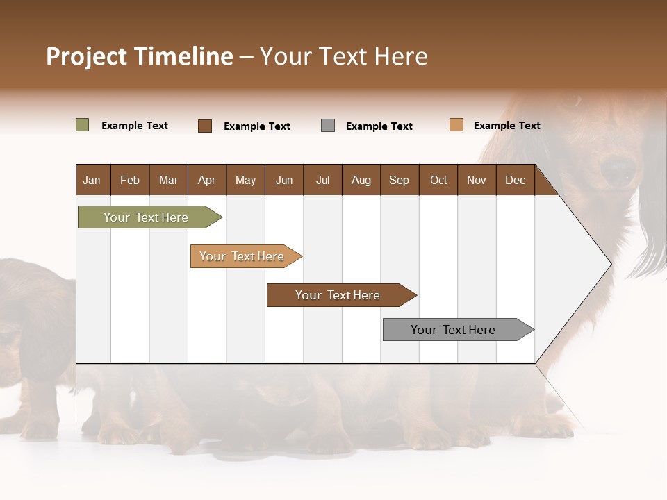 Mother Dogs And Puppies Breed Dachshund PowerPoint Template